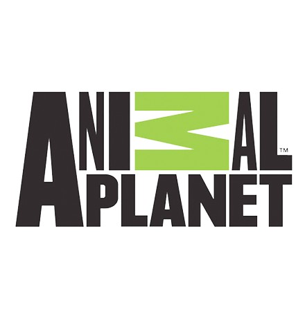 Animal Planet